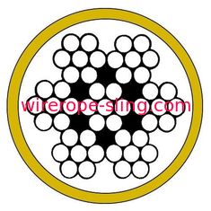 Galvanized Coated Steel Wire Rope OEM Service Durable Abrasion Resistance
